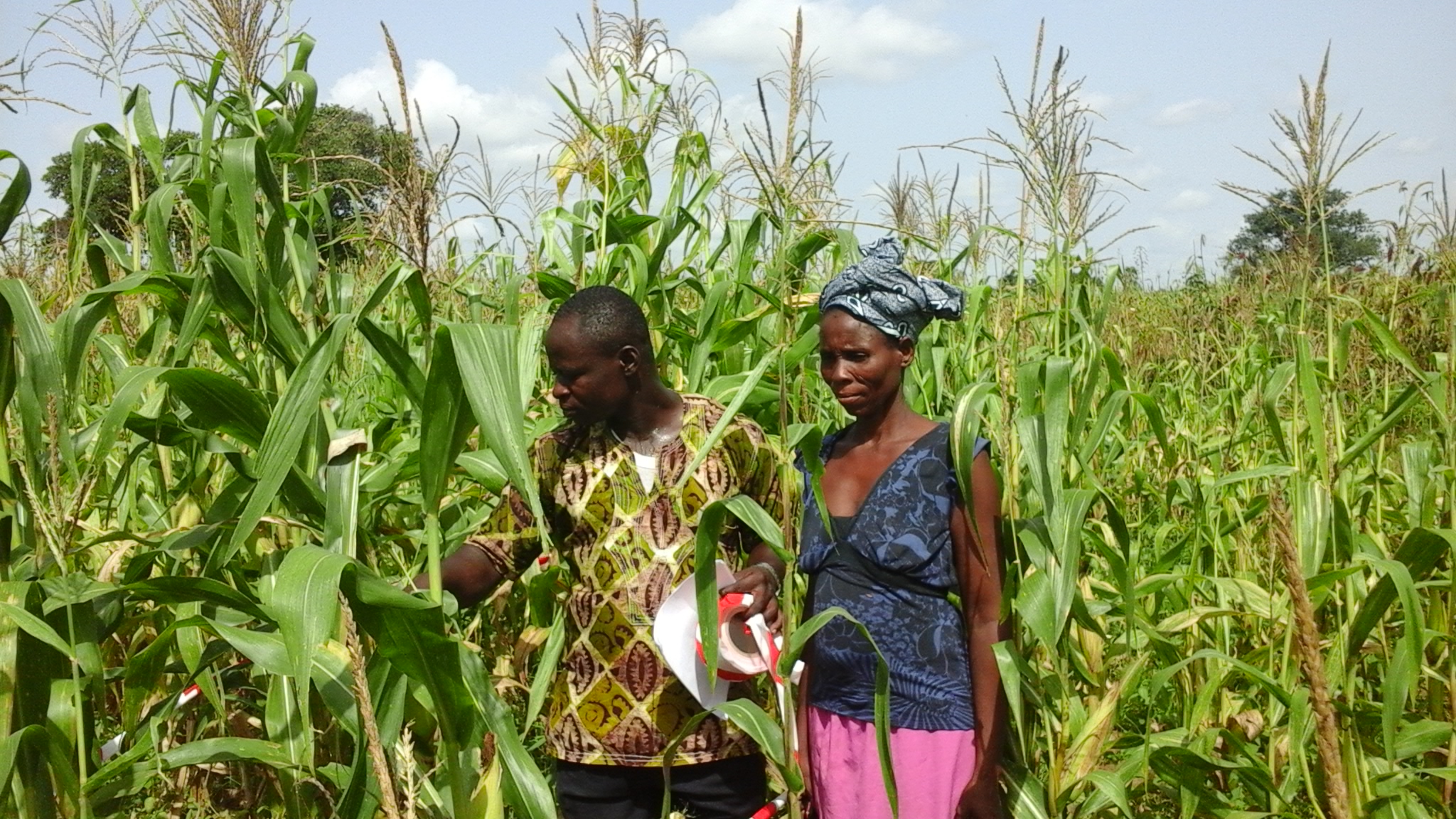 Community Research & Data Collection